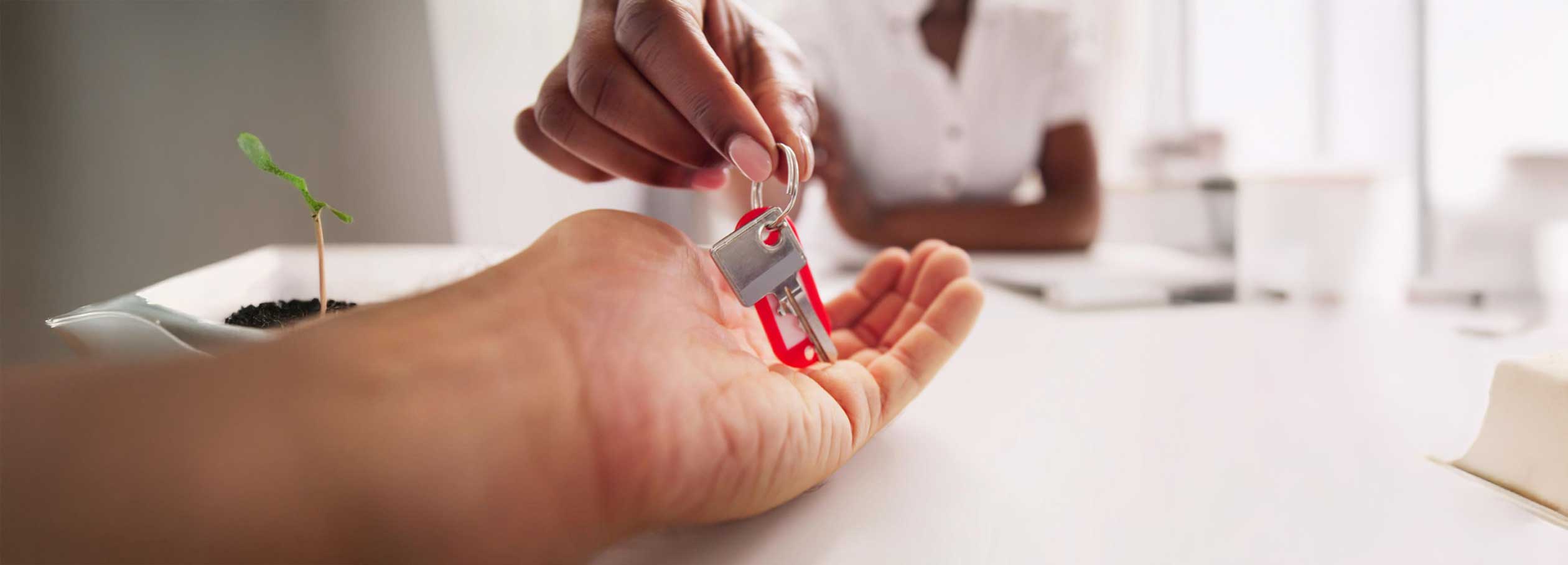 Immobilien An- und Verkauf